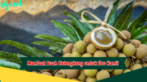 manfaat buah kelengkeng untuk ibu hamil