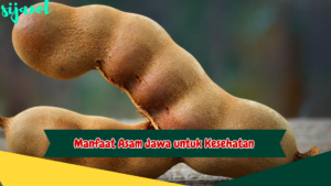 Manfaat Asam Jawa untuk Kesehatan