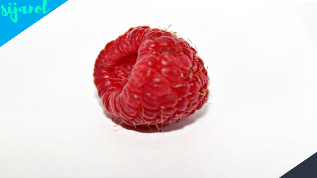 Manfaat Raspberry untuk Kesehatan