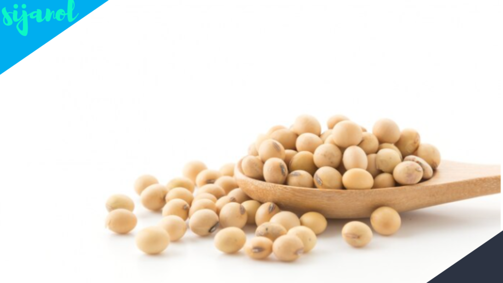 Manfaat Kacang Arab untuk Kesehatan