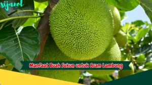 Manfaat Buah Sukun untuk Asam Lambung