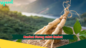 Manfaat Ginseng untuk Rambut