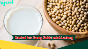 Manfaat Susu Kedelai untuk Lambung