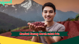 Manfaat Kacang Merah untuk Pria