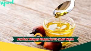 Manfaat Minyak Kelapa Sawit untuk Wajah