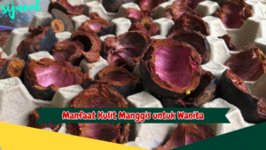 Manfaat Kulit Manggis untuk Wanita