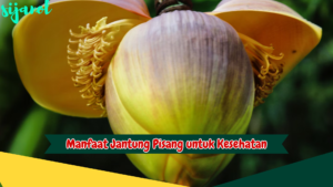 Manfaat Jantung Pisang untuk Kesehatan