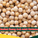 Manfaat Kacang Arab untuk Kesehatan