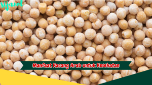 Manfaat Kacang Arab untuk Kesehatan