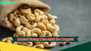 Manfaat Kacang Mete untuk Ibu Menyusui