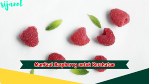 Manfaat Raspberry untuk Kesehatan