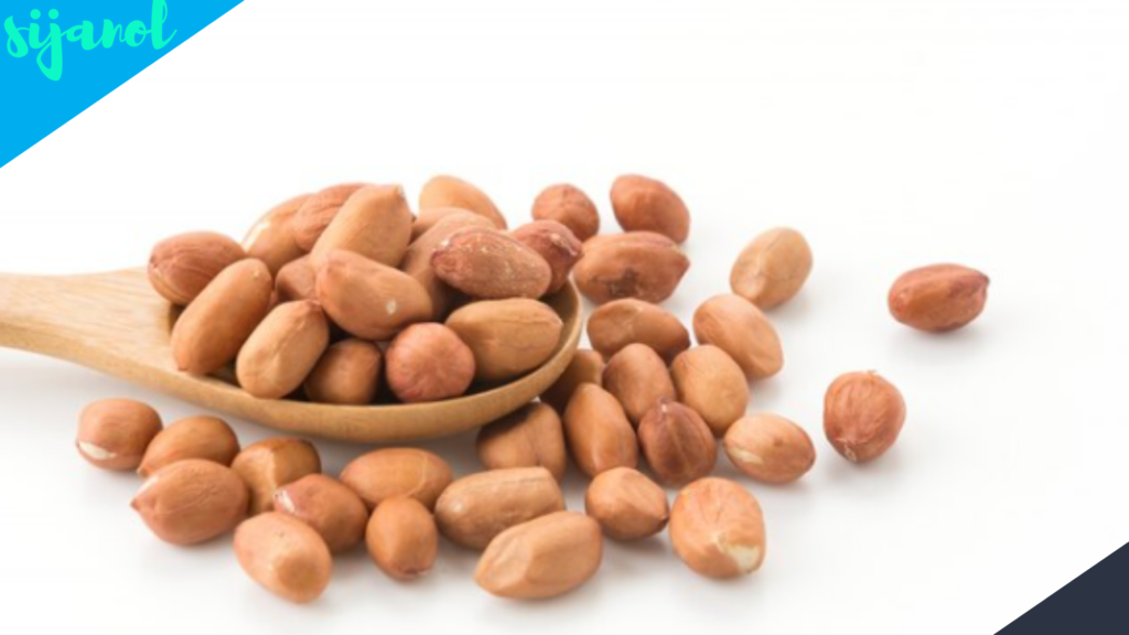 Manfaat Kacang Tanah untuk Anak