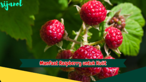 Manfaat Raspberry untuk Kulit