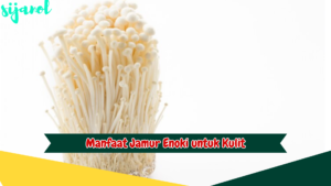 Manfaat Jamur Enoki untuk Kulit