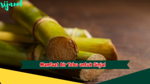 Manfaat Air Tebu untuk Ginjal