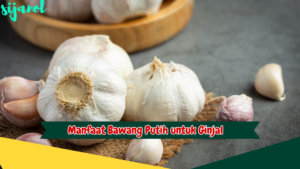 Manfaat Bawang Putih untuk Ginjal