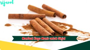 Manfaat Kayu Manis untuk Ginjal