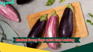 Manfaat terong ungu untuk asam lambung