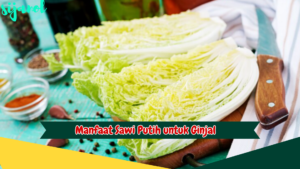 Manfaat Sawi Putih untuk Ginjal