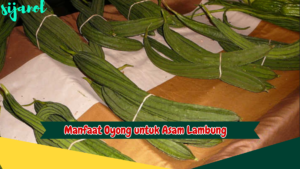 Manfaat Oyong untuk Asam Lambung