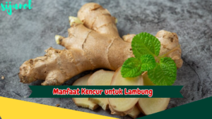 Manfaat Kencur untuk Lambung