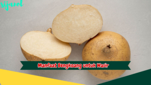 Manfaat Bengkoang untuk Wasir