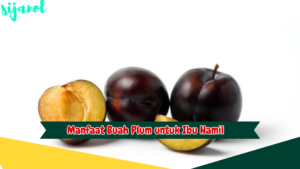 Manfaat Buah Plum untuk Ibu Hamil