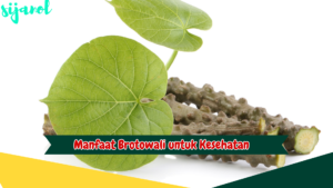 Manfaat Brotowali untuk Kesehatan