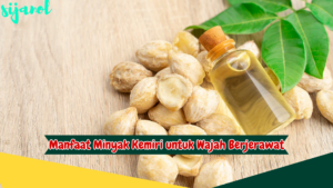 Manfaat Minyak Kemiri untuk Wajah Berjerawat