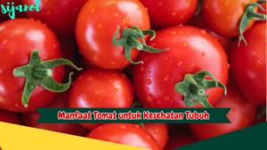 Manfaat Tomat untuk Kesehatan