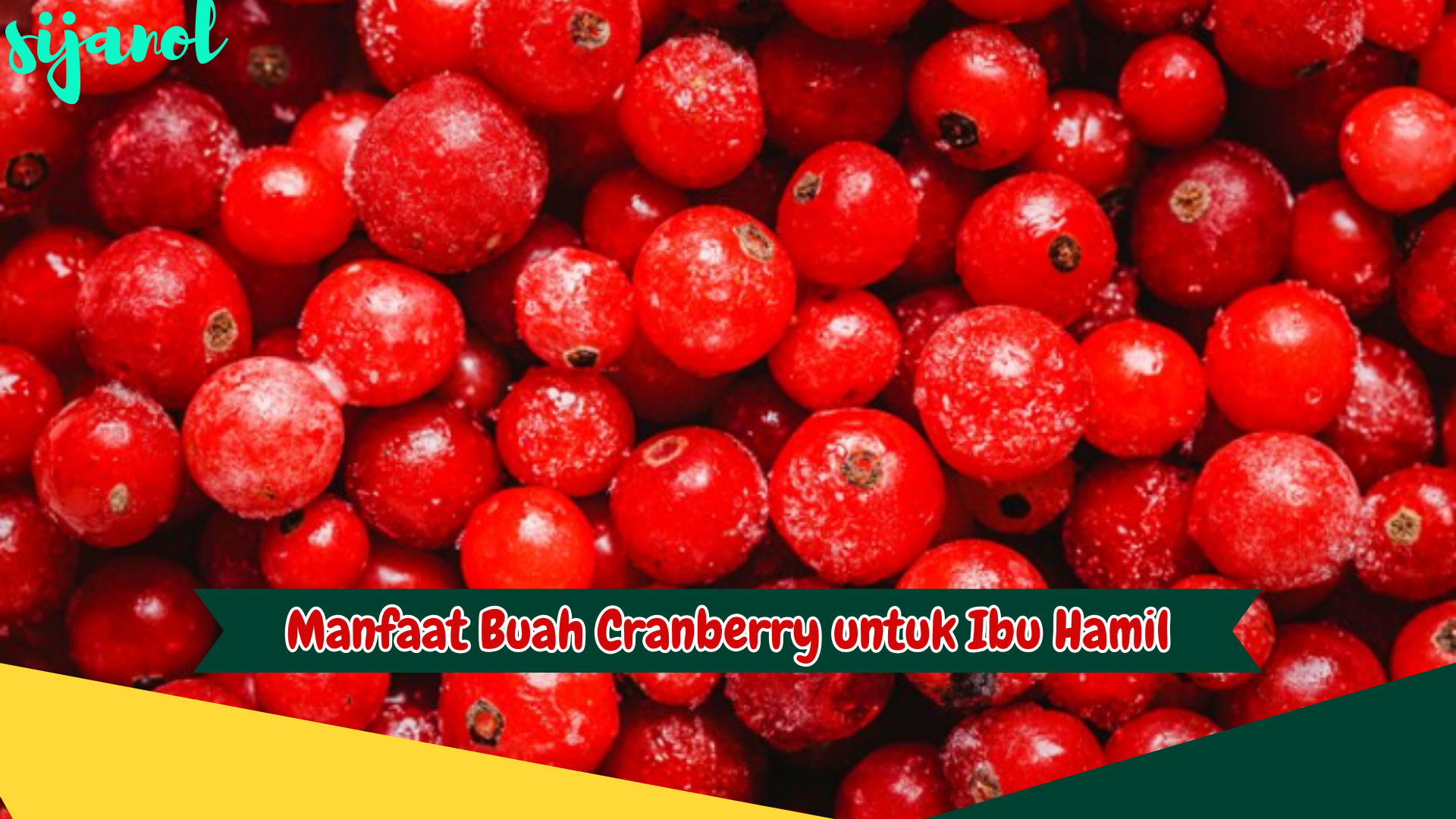 Manfaat Buah Cranberry untuk Ibu Hamil