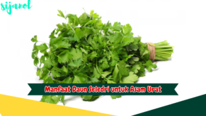 Manfaat Daun Seledri untuk Asam Urat