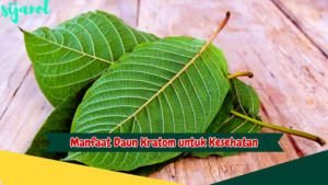 Manfaat Daun Kratom untuk Kesehatan