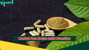 Manfaat Daun Kratom untuk Kecantikan