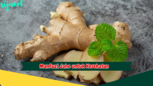 Manfaat Jahe untuk Kesehatan