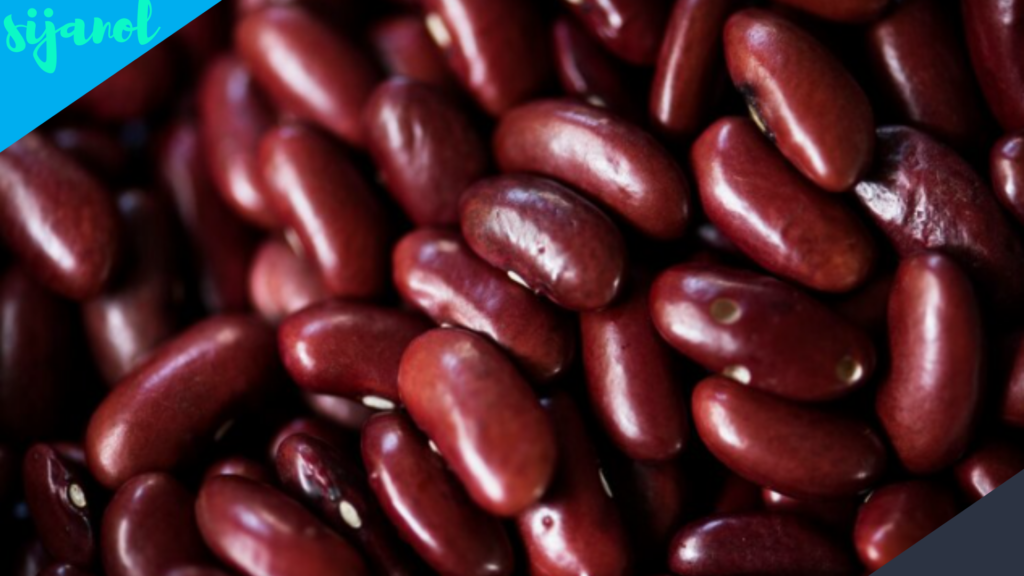 Manfaat Kacang Merah untuk Kulit