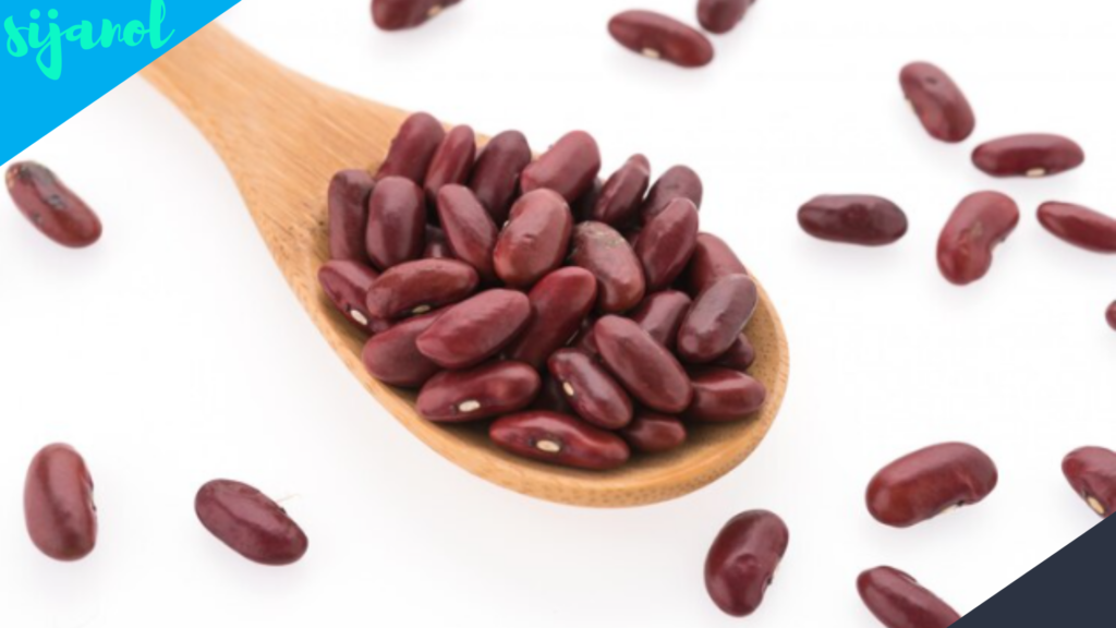 Manfaat Kacang Merah untuk Ginjal