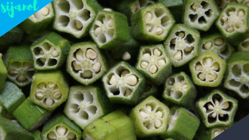 Manfaat Okra untuk Diabetes