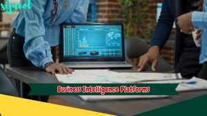 Business Intelligence Platforms