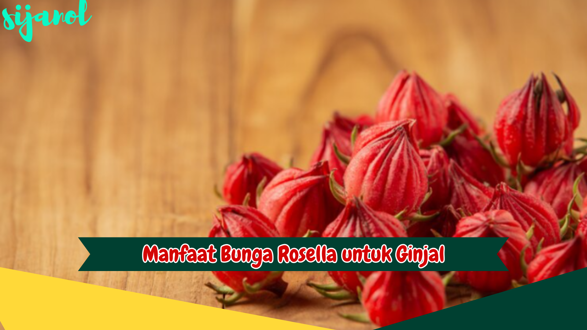 Manfaat Bunga Rosella untuk Ginjal
