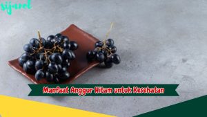 Manfaat Anggur Hitam untuk Kesehatan