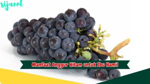 Manfaat Anggur Hitam untuk Ibu Hamil