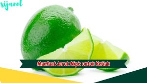 Manfaat Jeruk Nipis untuk Ketiak