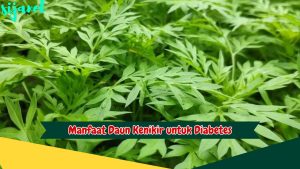 Manfaat Daun Kenikir untuk Diabetes