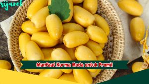 Manfaat Kurma Muda untuk Promil