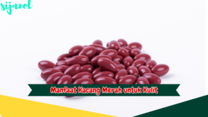 Manfaat Kacang Merah untuk Kulit