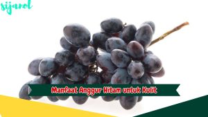 Manfaat Anggur Hitam untuk Kulit