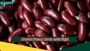 Manfaat Kacang Merah untuk Ginjal