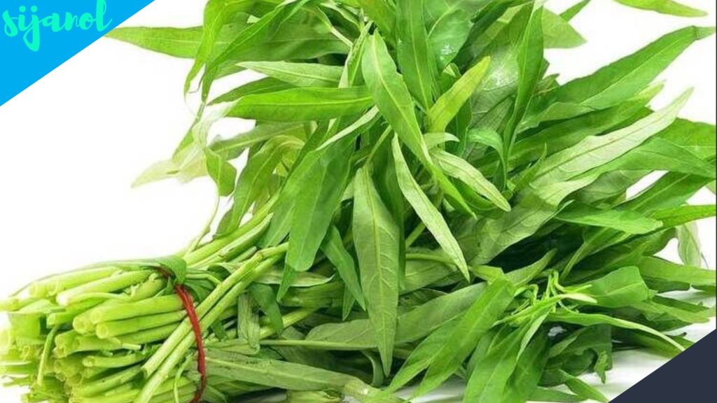 Manfaat Sayur Kangkung untuk Ibu Menyusui