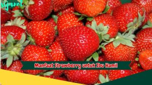 Manfaat Buah Strawberry untuk Ibu Hamil